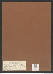 Odontotropis sp. (de-Toni-Nr.: Genus 124) Zeichnungen Sammlung Grunow Mappe 03699 (Herbarium_W_Grunow_drawings_Folder_03699)